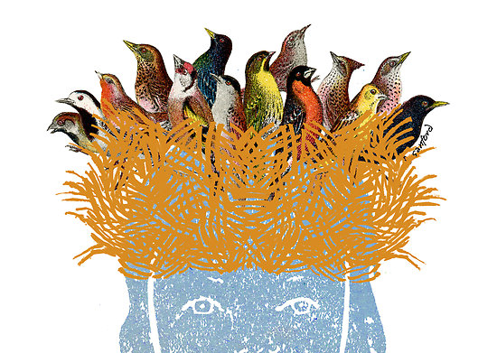 1913156-2-bird-nest-head